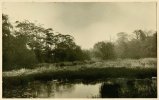 Lodge Pool in lane leading to Hamstead HallA.jpeg