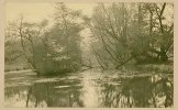 IMG_5550.jpeg