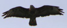 1755068423145.png