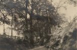 IMG_5539.jpeg