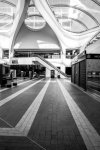 IMG_5843.jpeg