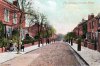 acocksgreen1907 the avenue.jpg