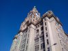 Liver Building 1.jpg