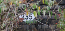 1757585874981.png