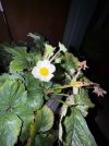 IMG_4438.jpeg