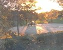 sunlight.jpg