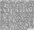 Birmingham Daily Post - Saturday 08 January 1887.jpg