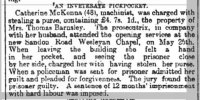 Birmingham Mail - Tuesday 24 June 1890.jpg