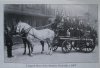 Lingard St Fire Station - c1907.jpg