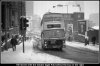 golden eagle behind bus on right.jpg