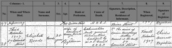 ELIZABETH ROADS Death Certificate (Incorrect one).jpg