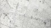 three mile oak on tithe map.jpg