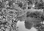 kb9_Page_1_Image_0010.jpg