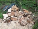 sawn logs.jpeg