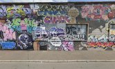 IMG_6495.jpeg
