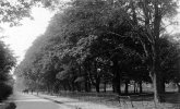 Belle Walk Moseley Birmingham 1890's.jpg