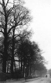 Belle Walk Moseley Birmingham 1913.jpg