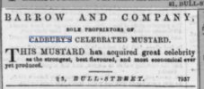 Birm mercury 12.11.1853.jpg