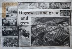 bournville2.jpg