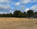 cutting meadow.jpeg