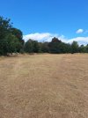 meadow gone.jpeg