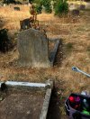IMG_8659.jpeg