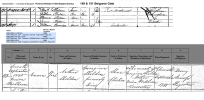 1881flo.png