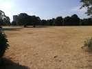 Ward End Park summer 1.jpg