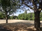 Ward End Park summer 2.jpg