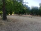 Ward End Park summer 3.jpg