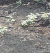 20260821_104108.jpg