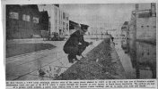Cape arm , Heath street 1972.jpg