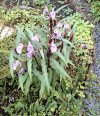 20260904_102711.jpg