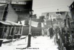 Newtown Hanley St  Back Terrace.jpg