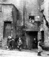 Newtown Hanley St back court.jpg