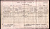 1911 census names.jpg