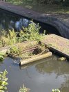 IMG_1941.jpeg