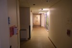 DSCF8871 (2k).JPG