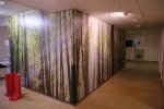 DSCF8879 (2k).JPG