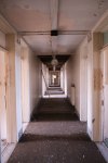 DSCF8121 (2k).JPG