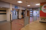 DSCF9491 (2k).JPG
