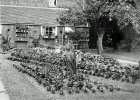 Silver Birch Rd - Erdington (5).jpg