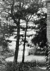 Silver Birch Rd - Erdington (6).jpg