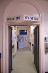 DSCF9181 (2k).JPG