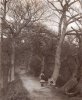 Chelmsley Wood 1892.jpg