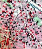 bombmap 7.jpg