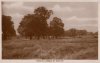 Hodge Hill Common 3.jpg