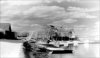 t green sailing club.jpg