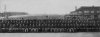 Pheasey_1942.jpg