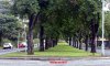 rednal tram loop 2.JPG